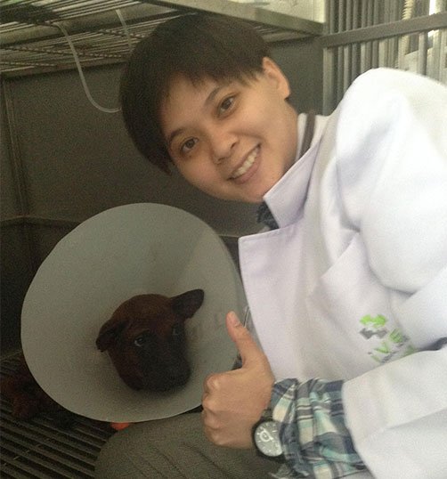 “หางหัก ไม่ตัดหางได้มั้ยครับหมอ” “หางหัก ไม่ตัดหางได้มั้ยครับหมอ”